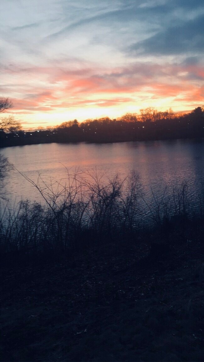 Foto del edificio - 252 Arcadia Blvd