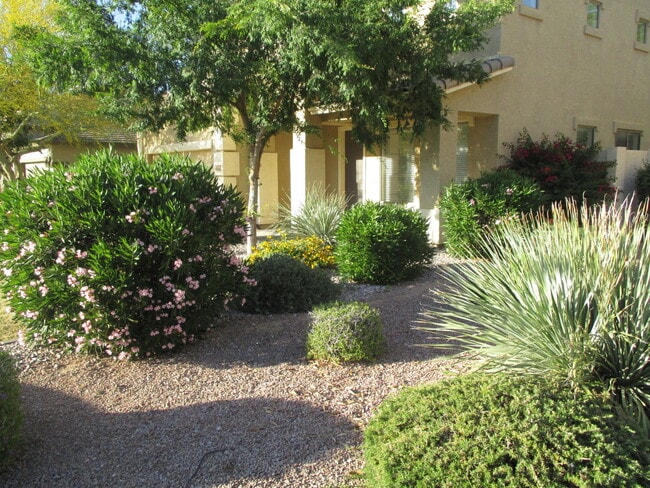 Building Photo - Beautiful Gilbert Home w/2 Master Bedrooms...