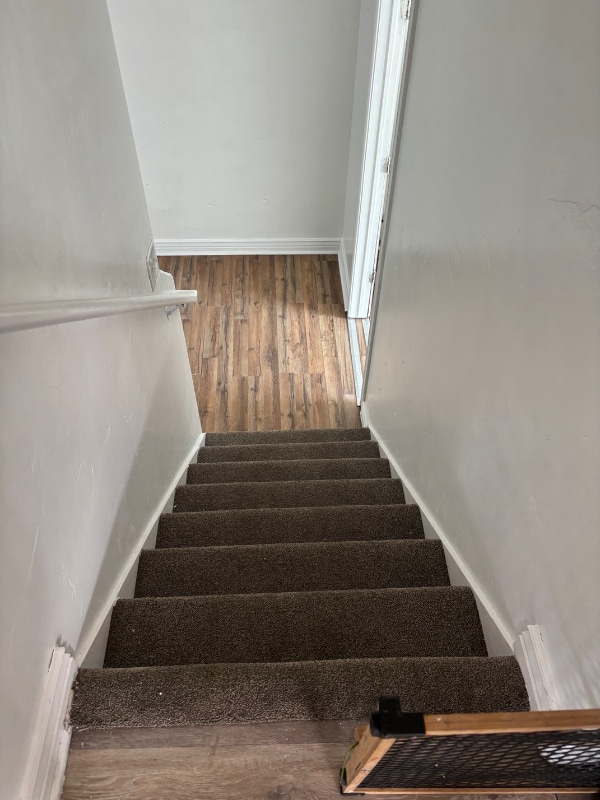Building Photo - 4523 Greystock Cir