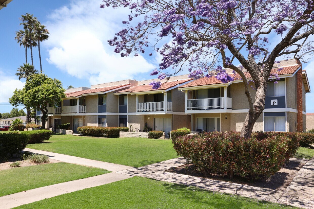 Rancho solana apartments (98) foto