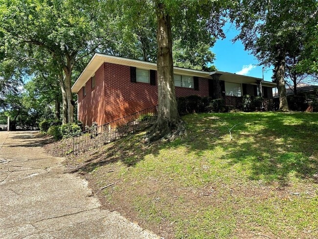 Building Photo - 1009 Rosedale Dr