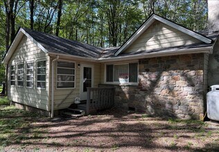 Building Photo - 1146 Colt Ln