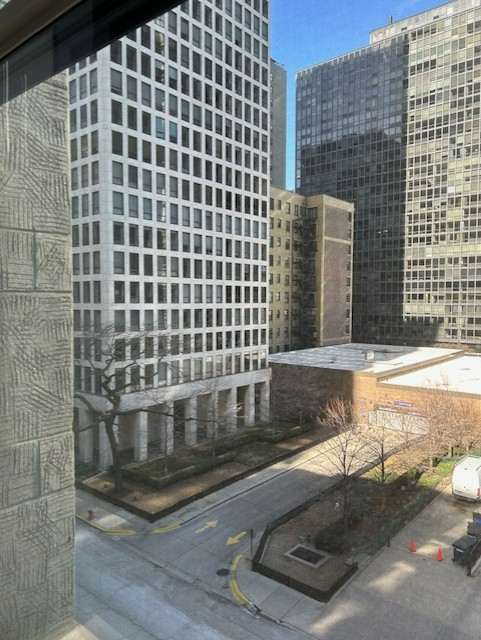 Foto del edificio - 850 N Lake Shore Dr