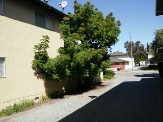 Foto del edificio - 246 Echo Ave