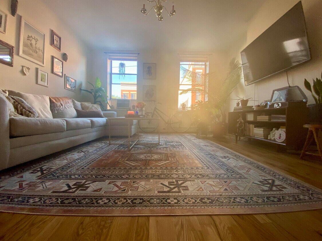 Primary Photo - 253 York St