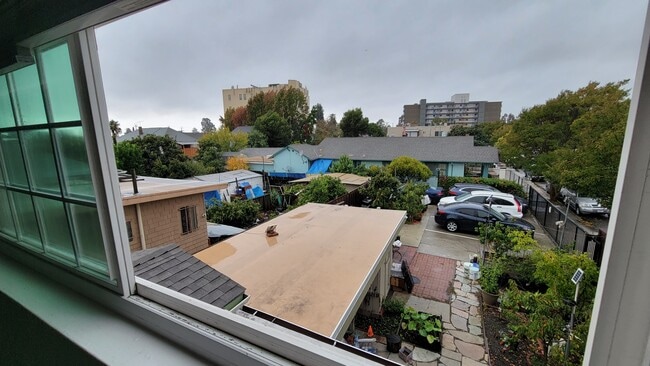 View from window to backyard - 2237 Coolidge Ave