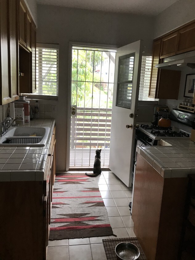Foto principal - 908 Robinson St