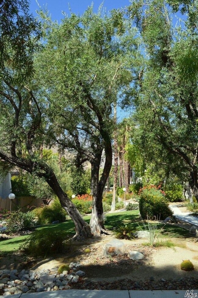 Building Photo - Casa de Oro in Little Tuscany, SEASONAL/MONTHLY furnished.