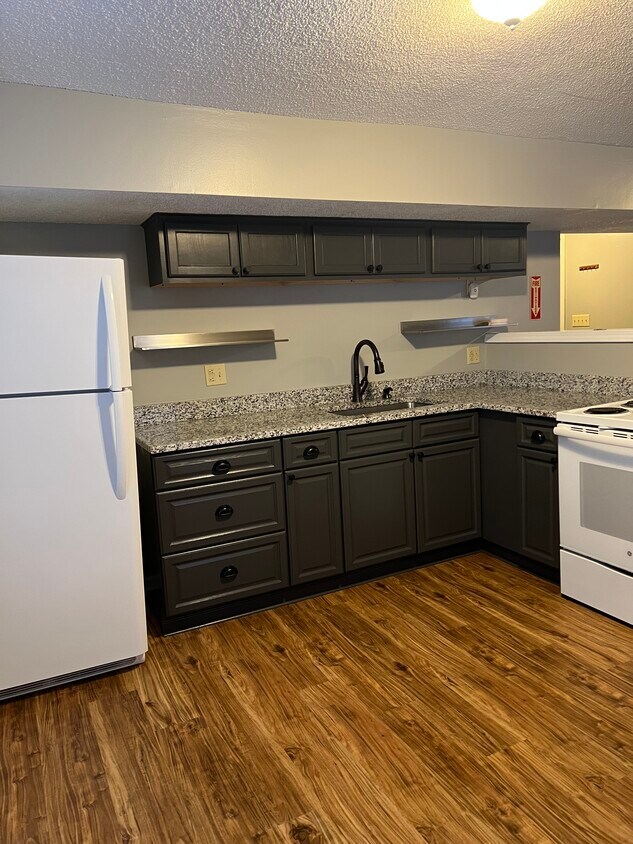 106 Saratoga St Unit 3rd Floor, Excelsior Springs, MO 64024