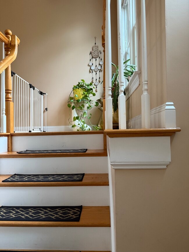 Stairs to the foyer - 10 Brookside Ln