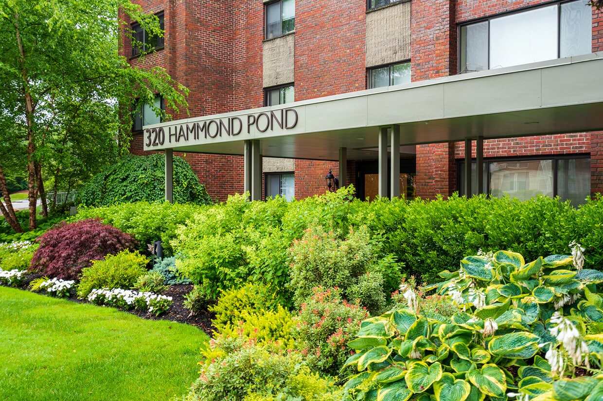 320 Hammond Pond Pky Unit 101, Chestnut Hill, MA 02467 Condo for Rent