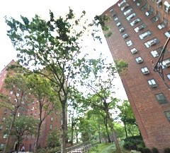 Primary Photo - 281 Avenue C