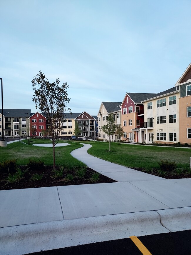 Courtyard - Jenny Wren Place