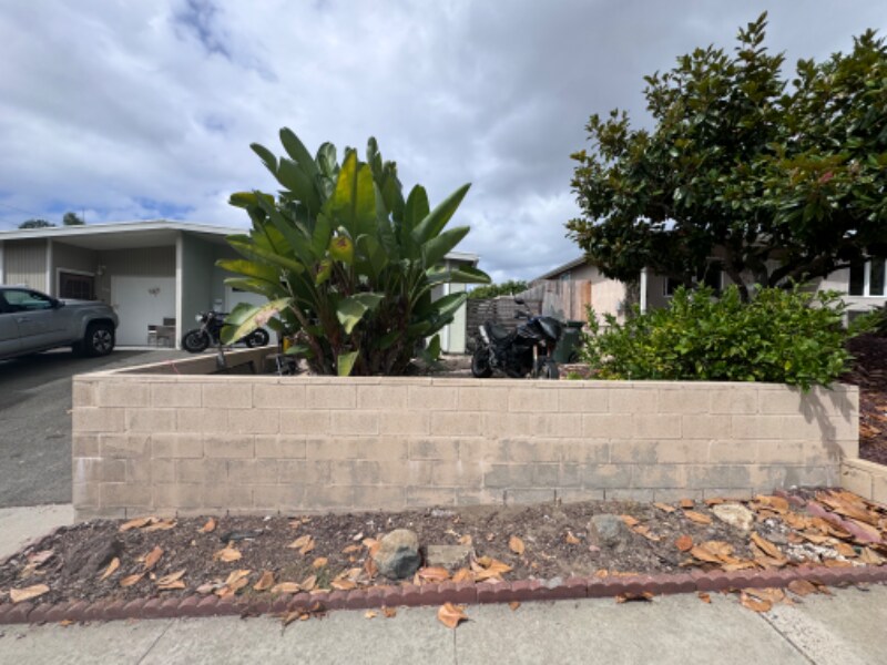 Primary Photo - 208 Fraxinella St
