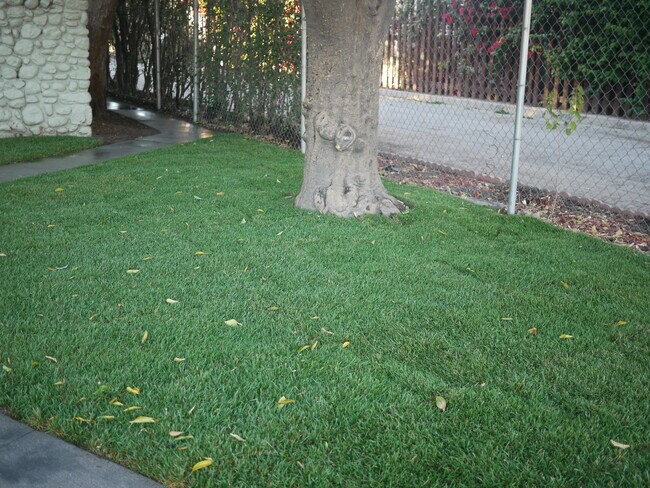 Foto del edificio - Charming 4-Bedroom, 2-Bathroom Single Fami...
