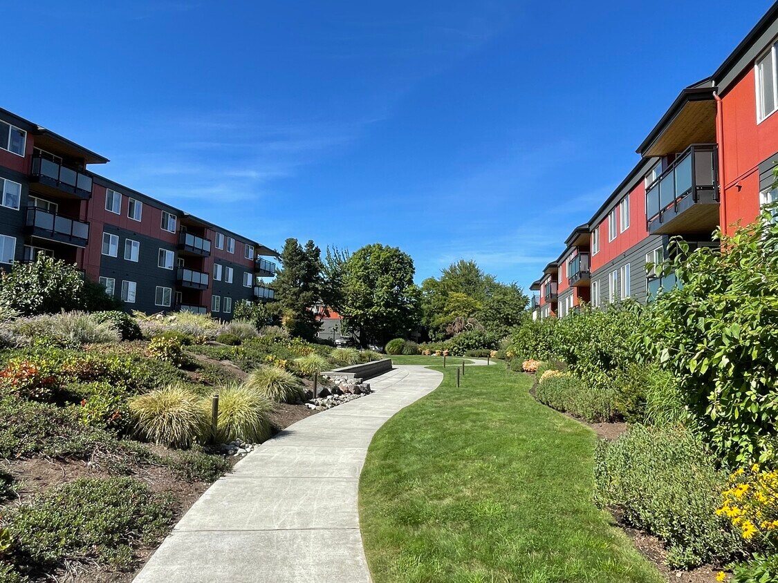 5818 NE 70th St Unit A301, Seattle, WA 98115 Condo for Rent in