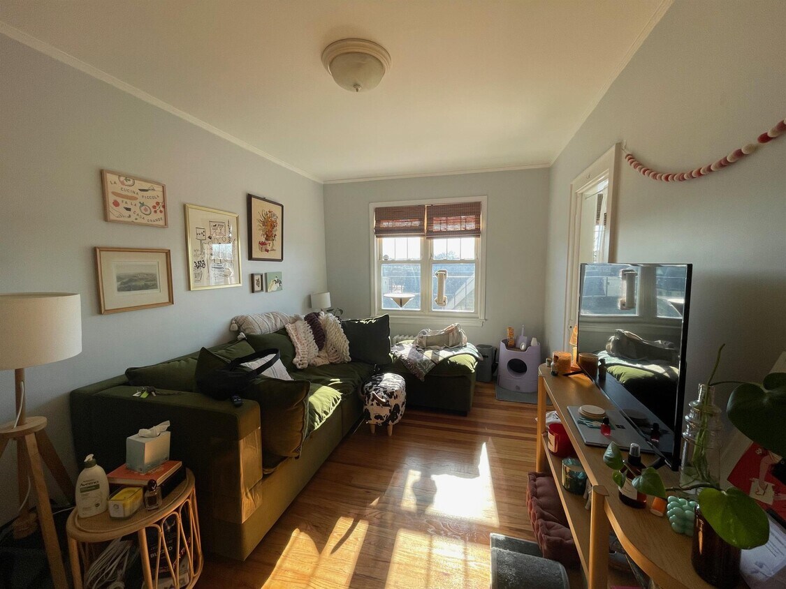 8 Haskell St Unit 3, Cambridge, MA 02140 Apartments in Cambridge, MA