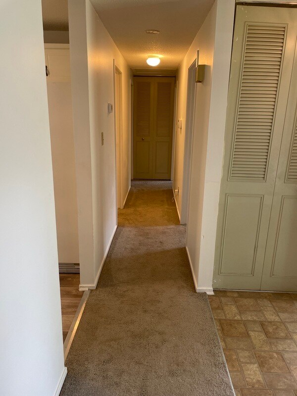 Building Photo - 3437 Gemini Dr