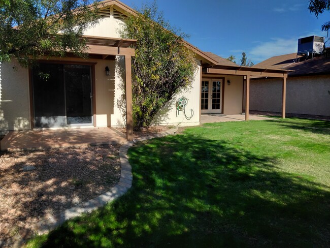 Rear yard - 1513 W Jacinto Ave