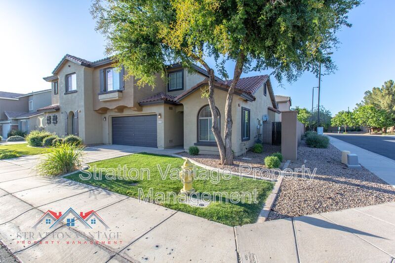 1574 E Elgin St, Gilbert, AZ 85295 House Rental in Gilbert, AZ