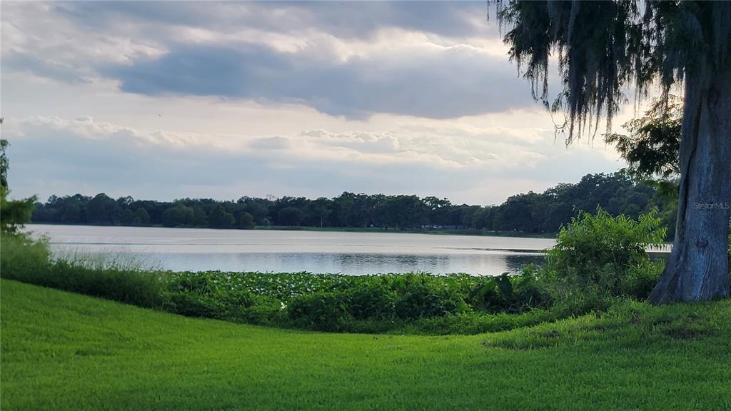 Foto principal - 4023 Versailles Dr