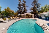 Located at 400 Santa Alicia Dr in Rohnert Park, California, this outdoor amenity space is centered around a generously sized, kidney-shaped swimming pool with clear, blue-green water. The pool deck is finished in smooth concrete and offers ample room for relaxation, furnished with a collection of chaise lounges and side tables positioned for sunbathing and leisure. Teal-accented patio umbrellas are distributed throughout the deck, providing convenient shade during sunny Northern California days. A standout architectural feature is the elegant white pergola structure, which serves as a shaded gathering area complete with seating and decorative potted plants, adding a refined, resort-like character to the space. A dedicated clubhouse or pool house building sits adjacent to the pool area, featuring restroom facilities and community information, framed by tall decorative planters. The entire area is enclosed by a black wrought-iron fence, ensuring privacy and security while preserving open sightlines to the surrounding mature trees, including towering redwoods and flowering crape myrtles. Lush, well-maintained landscaping with sculpted hedges and colorful shrubs borders the perimeter, enhancing the natural ambiance. The space benefits from abundant natural sunlight and a clear open sky, creating a bright, welcoming outdoor retreat ideal for community gatherings and outdoor recreation.