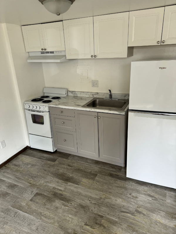 454 W Dayton St Unit 5, Madison, WI 53703 - Room for Rent in Madison ...