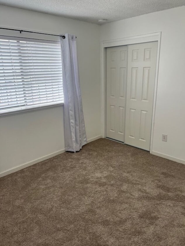 Building Photo - Available Now