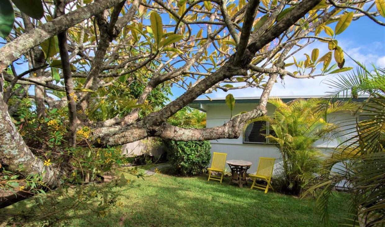 Gorgeous Garden to have your morning coffee - 291 Awakea Rd