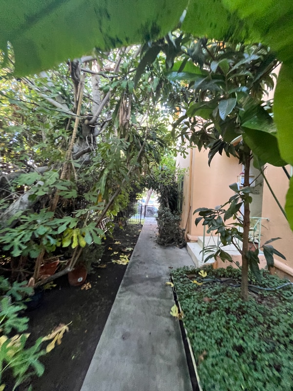 Photo - 139 Sweetzer Ave (Los Angeles, CA)