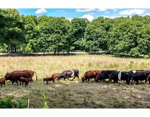 Foto del edificio - 83 Old Connecticut Path