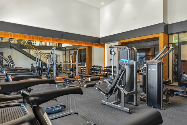 The Palo Fitness Center - The Palo Apartments