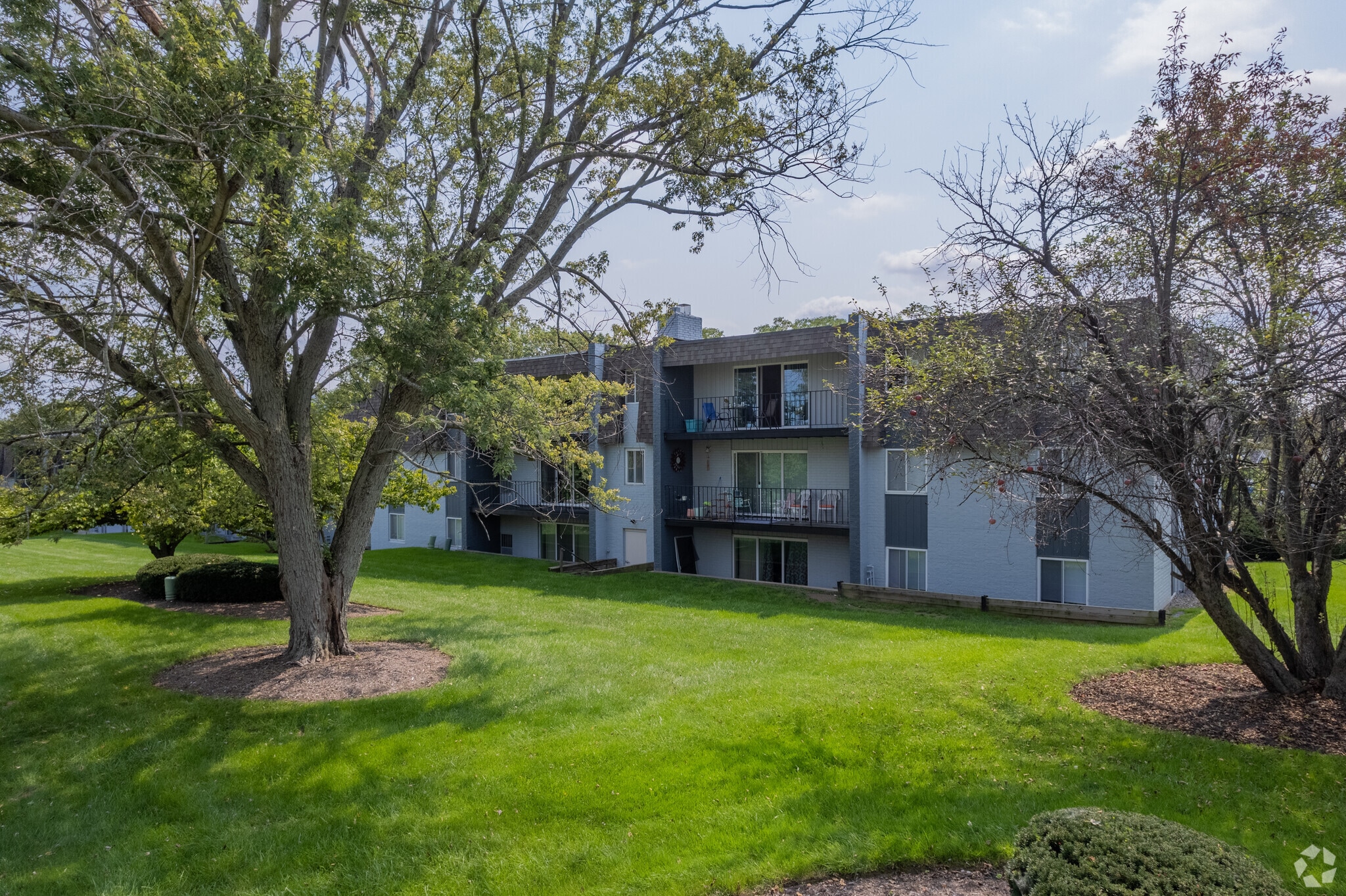 Forest Hills – photo 2