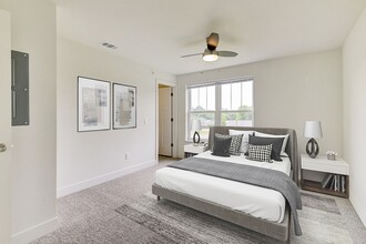 Building Photo - Stoney Pointe Apartment Homes