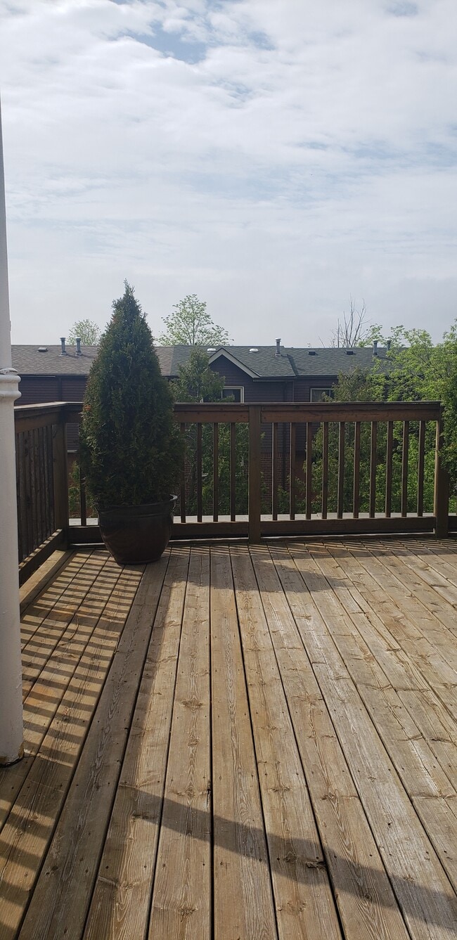 Building Photo - EAGLE’S NEST, Sun filled very bright loft apt- (Dupont & Christie)