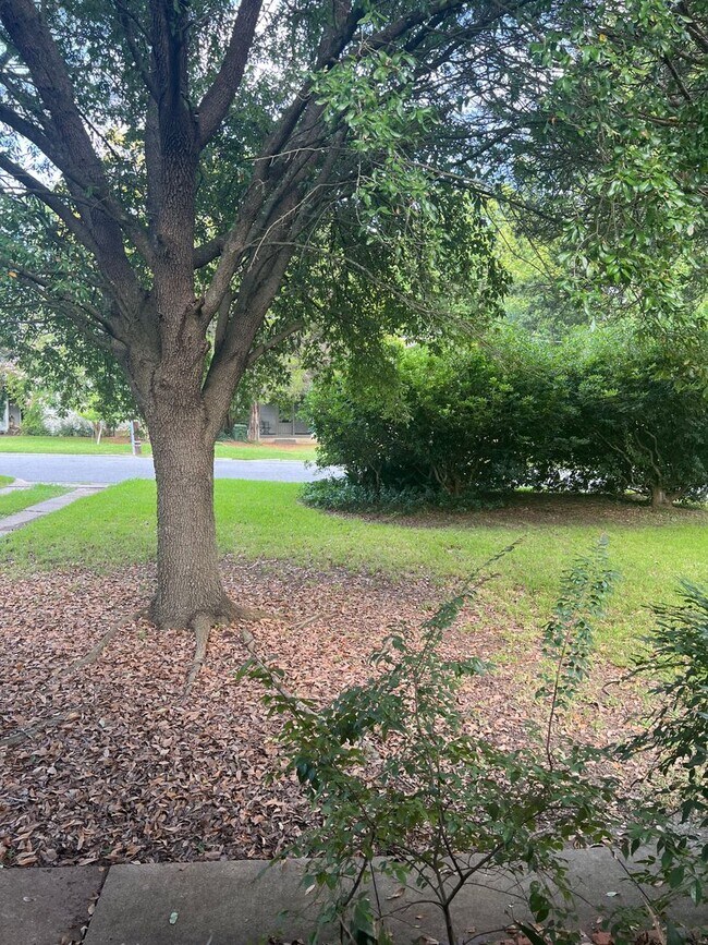 Building Photo - YELLOWBUNNY- 3352/3354-MONTEZUMA DUPLEX-CAMELIA-255/256