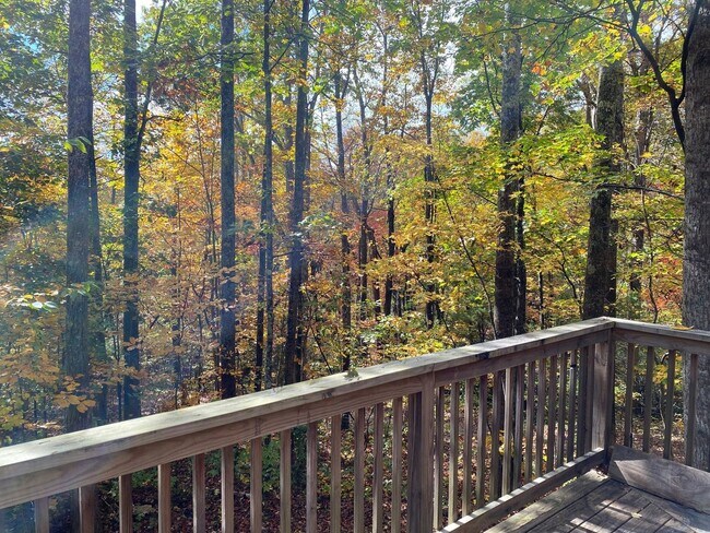 Foto del edificio - 143 Red Huckleberry Ln