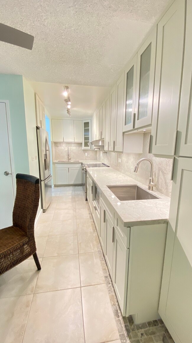 Kitchen, 2nd chef skink - 501 Hahaione St Apartment