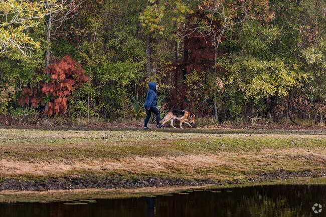 Palomino Drive Park is a great place to bring the pups out for a walk.