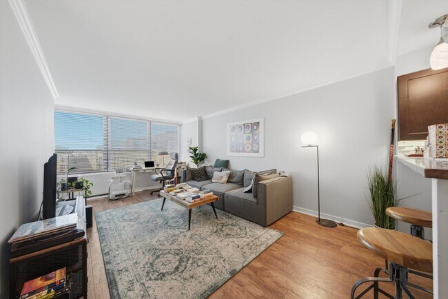 Foto del edificio - 1560 N Sandburg Terrace