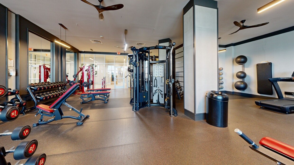 Photo - The Mark Tucson Apartments