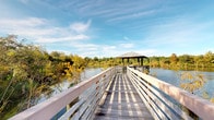 This outdoor space features a well-constructed wooden boardwalk that stretches gracefully over a calm, expansive body of water. The walkway is lined with sturdy white-painted railings on both sides, guiding visitors toward a covered gazebo structure at the far end. The gazebo is topped with a sloped metal roof, providing a shaded vantage point over the surrounding wetlands.

The natural environment that frames this space is rich and diverse, with dense clusters of trees and shrubs displaying a mix of green and golden autumn foliage along the water's edge. Aquatic vegetation is visible on the water's surface, adding to the ecological character of the setting. The open water reflects the surrounding landscape, contributing to the overall sense of tranquility.

Overhead, a broad, clear blue sky with wispy high-altitude clouds allows abundant natural light to flood the boardwalk, casting defined linear shadows from the railings across the wooden decking. The combination of the structured wooden pathway, the sheltered gazebo, and the untouched natural surroundings creates an environment well-suited for observation, leisure, and engagement with nature. This space offers an immersive connection to a wetland ecosystem and serves as a peaceful retreat for those seeking an outdoor experience.