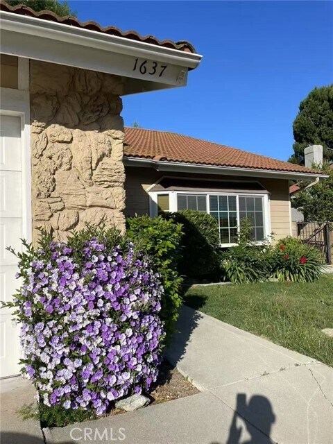 Primary Photo - 1637 Bronze Knoll Rd
