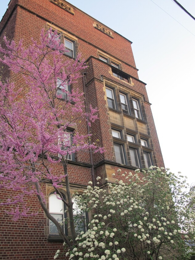 3814 Prospect Ave E Unit 101, Cleveland, OH 44115 Apartments 3814