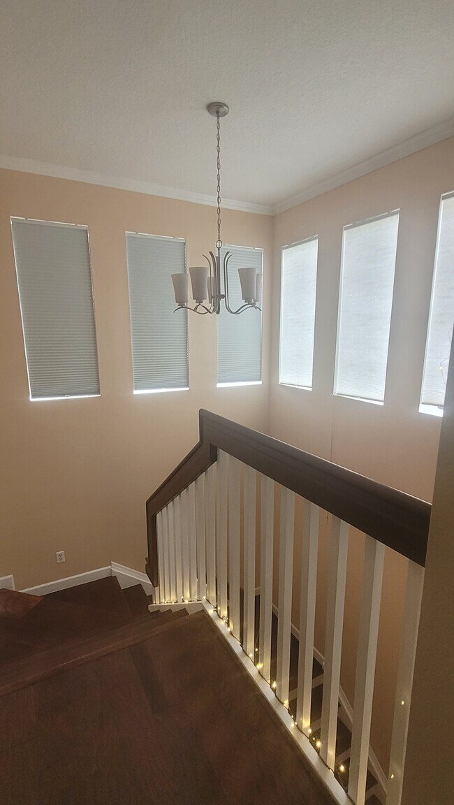 escaleras - 1049 Blackwater Dr