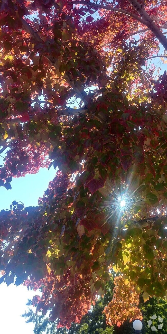 Northwest Quadrant Furnished Apartments for Rent Reno, NV 1 Rentals