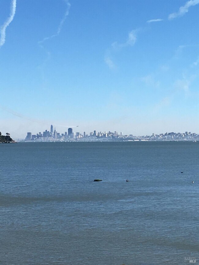 Foto del edificio - 386 Greenwood Beach Rd