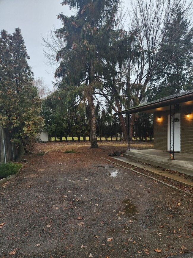 Foto del edificio - Near Chestnut Ave 3 br 1.5 ba all on one l...