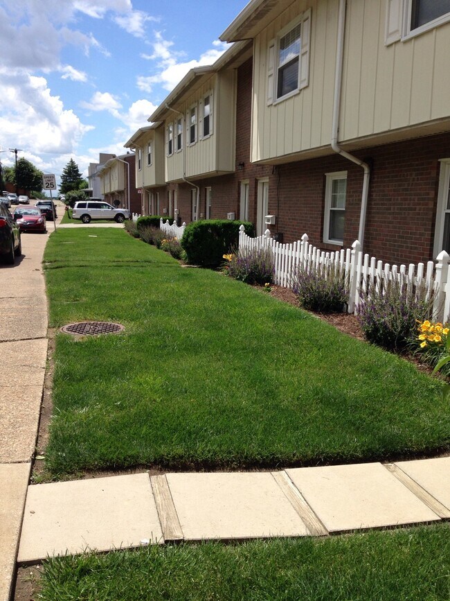 891 Mirror St, Pittsburgh, PA 15217 Townhome Rentals in Pittsburgh PA
