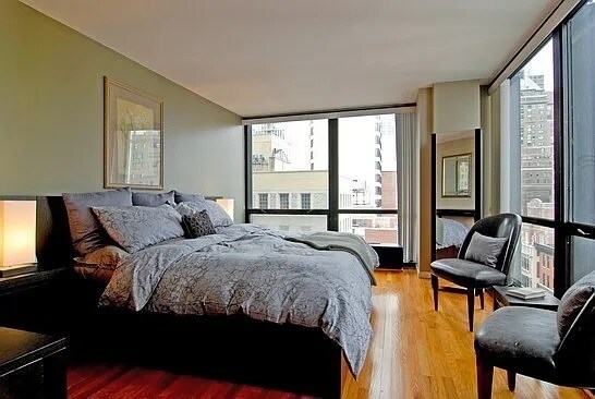 Foto del edificio - 910 N Lake Shore Dr